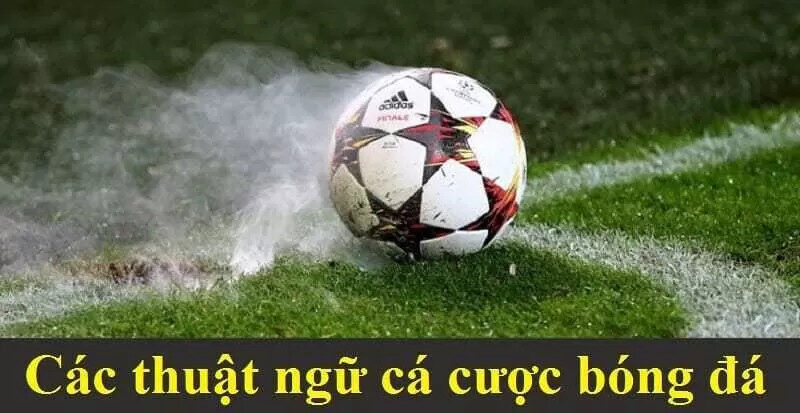 Các thuật ngữ cá độ bóng đá kèo châu á