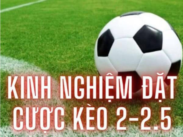 Kinh nghiệm soi kèo tài xỉu 2-2.5 giúp người chơi thắng lớn