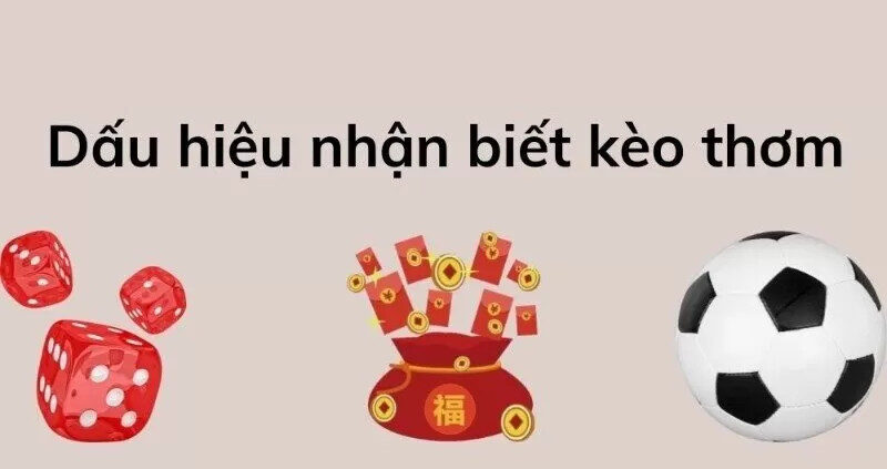 Lựa chọn kèo ngon ăn giúp nâng cao tỷ lệ chiến thắng